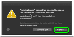 Snippet of InteleViewer's security prompt